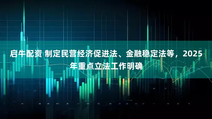 启牛配资 制定民营经济促进法、金融稳定法等，2025年重点立法工作明确