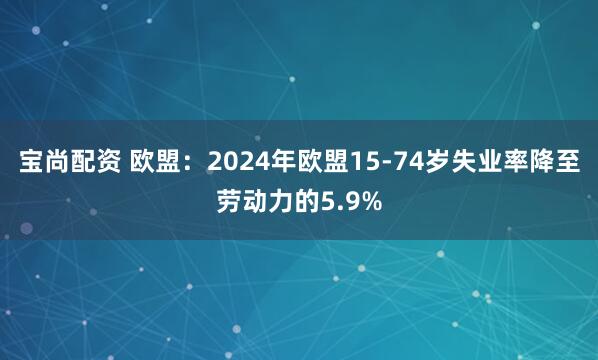 宝尚配资 欧盟：2024年欧盟15-74岁失业率降至劳动力的5.9%