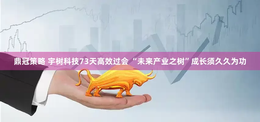 鼎冠策略 宇树科技73天高效过会 “未来产业之树”成长须久久为功